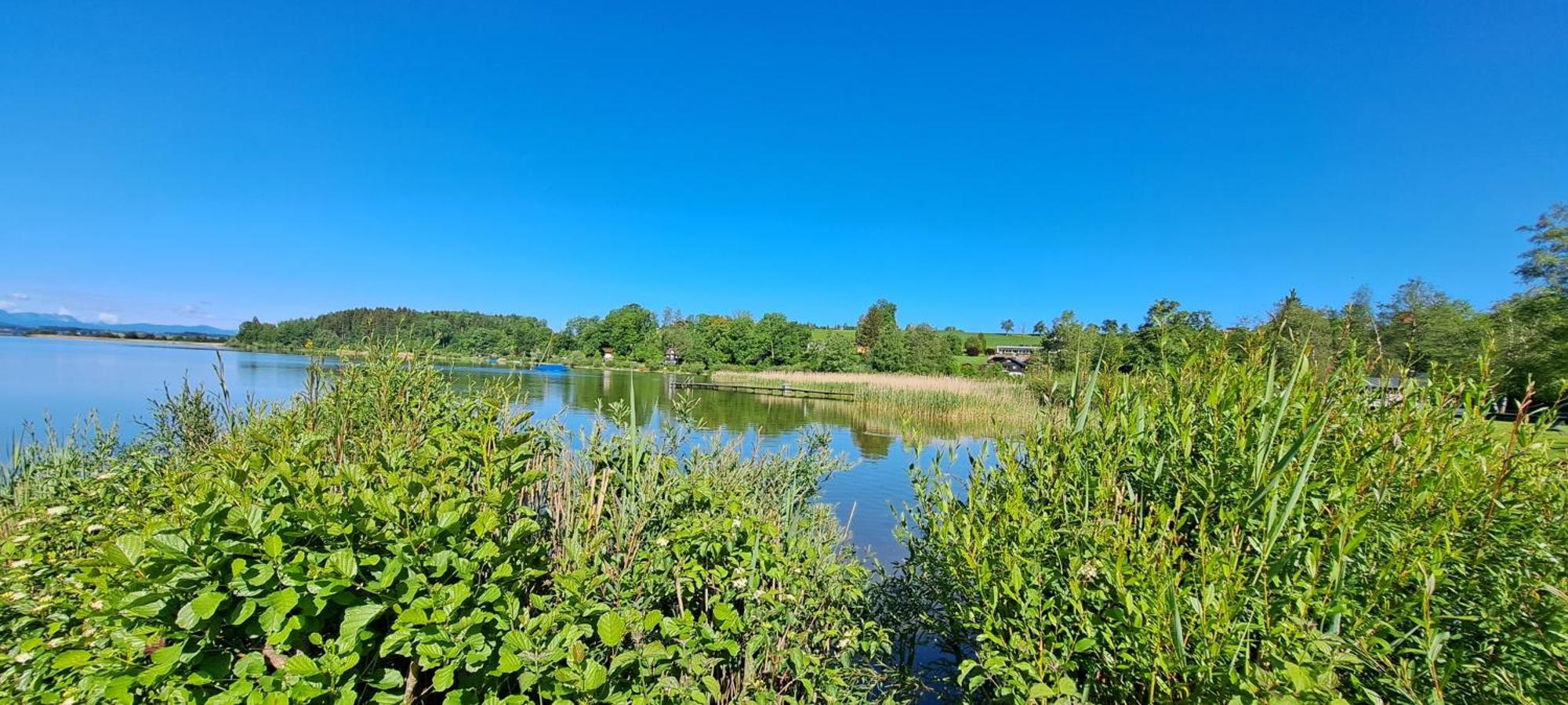 Ferienwohnung Wallersee Ноймаркт-ам-Валлерзе Экстерьер фото